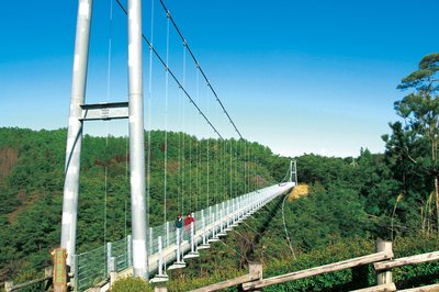 🏞️ 시즈오카 현립 삼림공원(시즈오카켄리츠신린코엔)